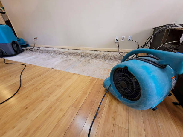 Professional Ceiling Water Damage Repair technician working in Big Lake, TX